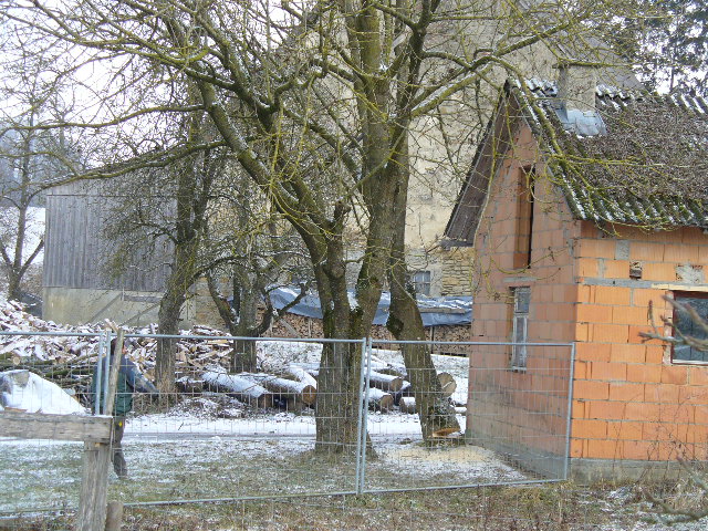 P1010377.JPG