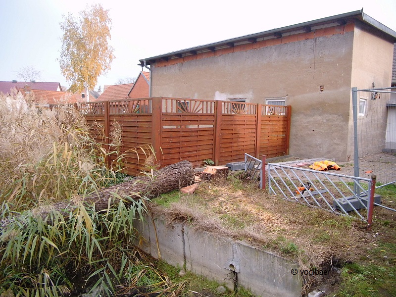 Lärche Fällung 1.jpg