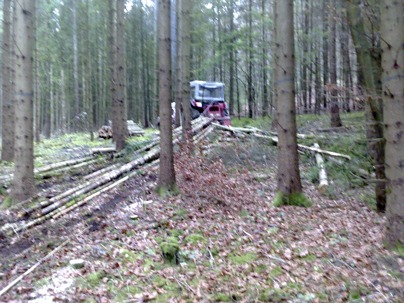 Wald2016_17_5.jpg