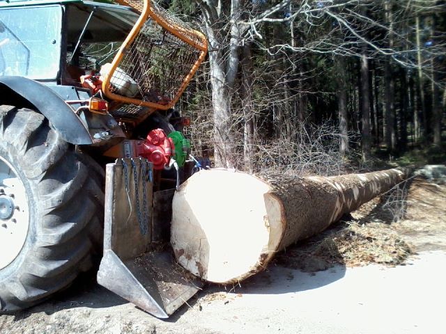 Foto0006 (640x480).jpg