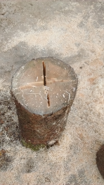 IMG_20161201_103854568 (360x640).jpg