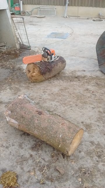 IMG_20161201_101814340 (360x640).jpg