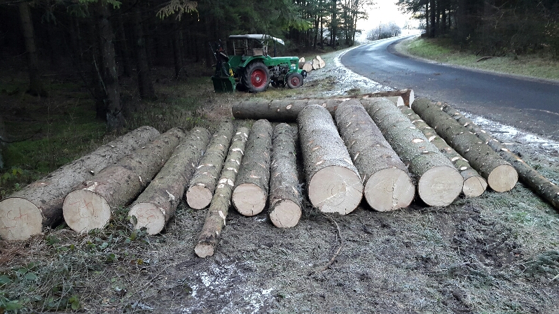 2016-12-03 18.50.59.jpg