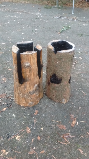 IMG_20161205_105307805 (360x640).jpg