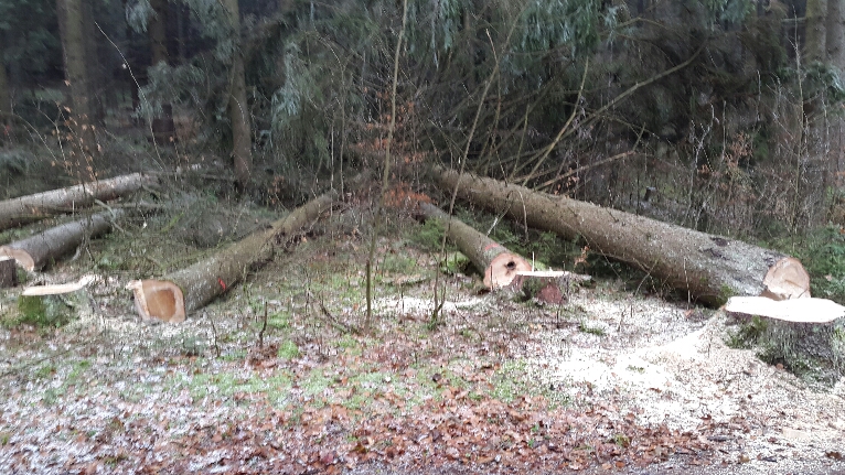 2016-12-23 23.09.05.jpg