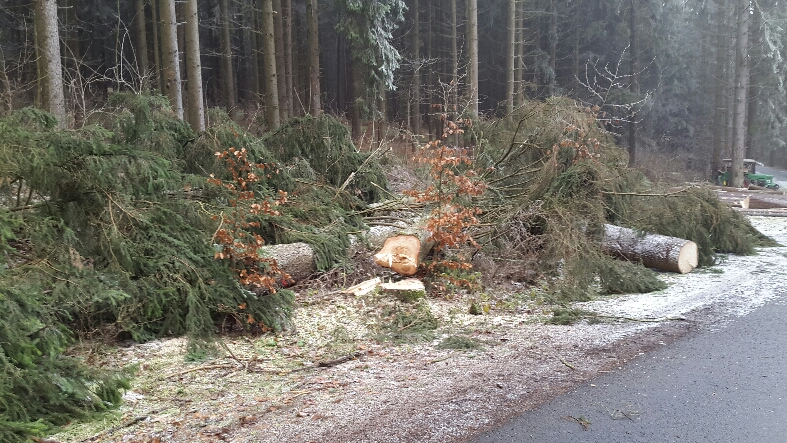 2016-12-23 23.09.59.jpg