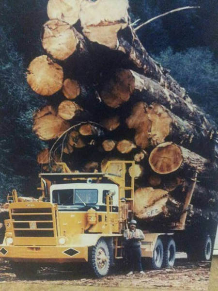 big load of wood.jpg