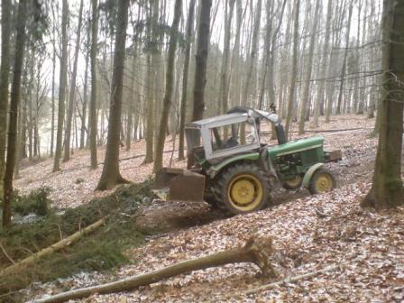 Brennholz6.JPG