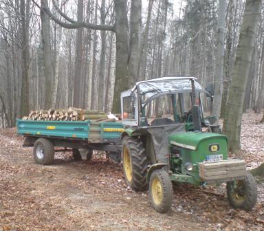 Brennholz5.JPG