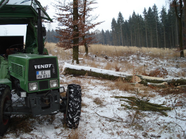 Waldarbeit jan.09 003.jpg
