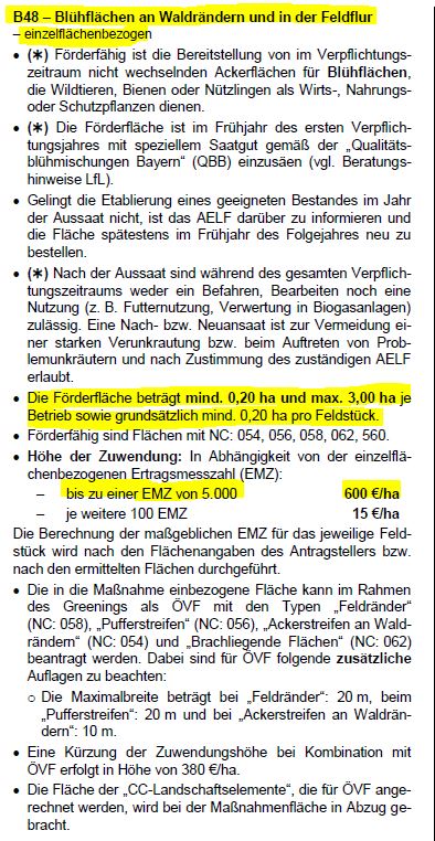 KULAP B48 Blühfläche.JPG