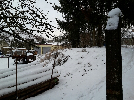 2017-01-15 09.10.44.jpg