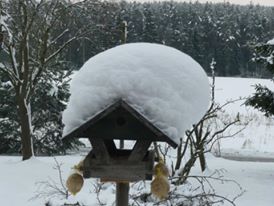 vogelhaus schnee.jpg