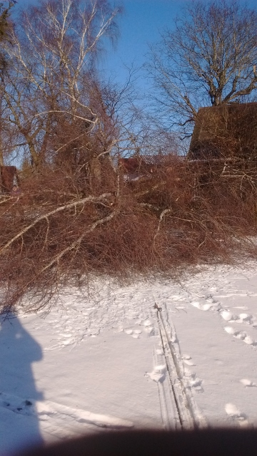 IMG_20170120_142549034 (360x640).jpg