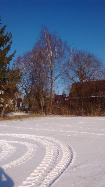 IMG_20170120_140106696 (360x640).jpg