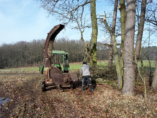 2017-02-04 22.14.27.jpg