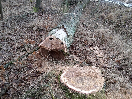 2017-02-04 22.12.57.jpg