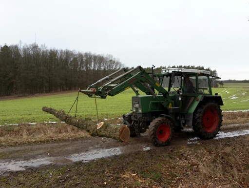 2017-02-04 22.12.28.jpg