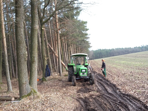 2017-02-11 17.50.13.jpg