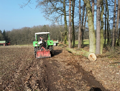 2017-02-11 17.51.35.jpg