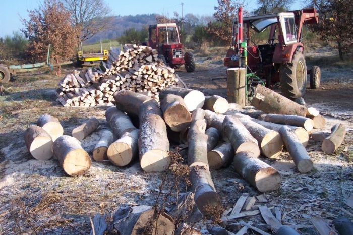 Brennholz 2008 003.jpg