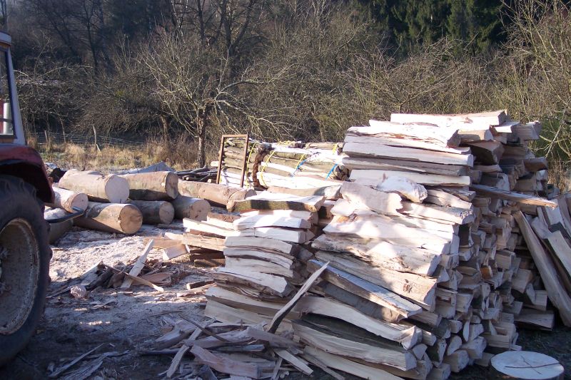 Brennholz 2008 001.jpg