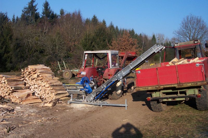 Brennholz 2008 006.jpg
