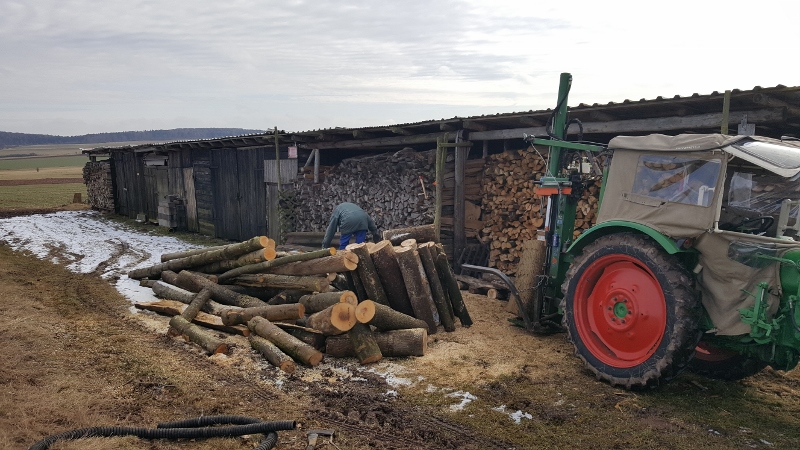 20170225_130117 (800x450).jpg