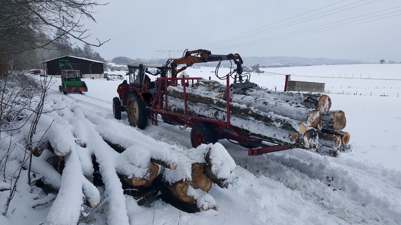 20170114_131058 (800x450).jpg