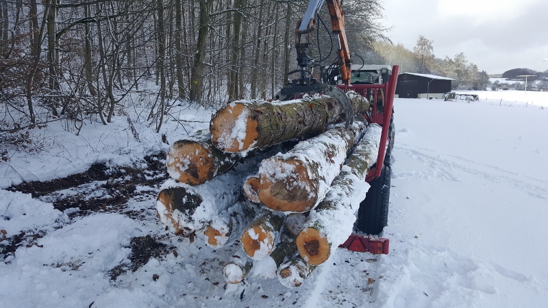 20170114_123848 (800x450).jpg