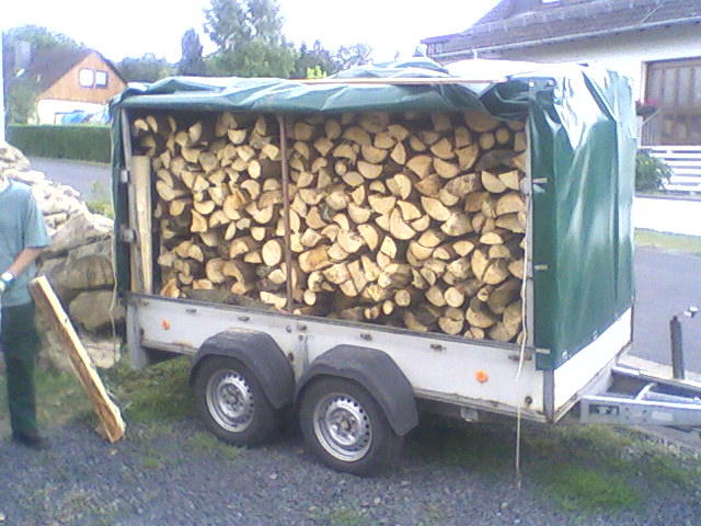 Hänger voll mit Holz (3).jpg