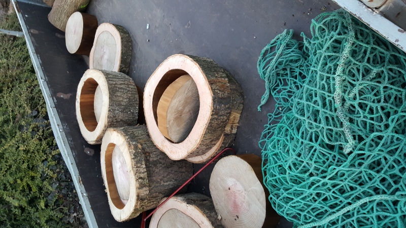 20170313_180146 (450x800).jpg