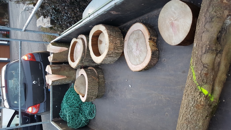 20170313_180200 (450x800).jpg