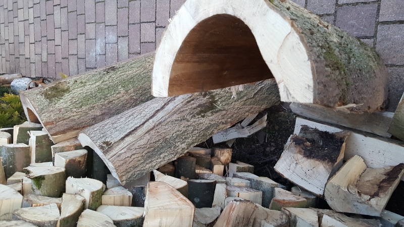 20170313_180451 (450x800).jpg