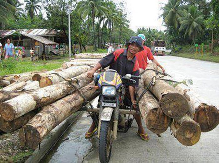 Holztransport auf 2 Rädern.jpg