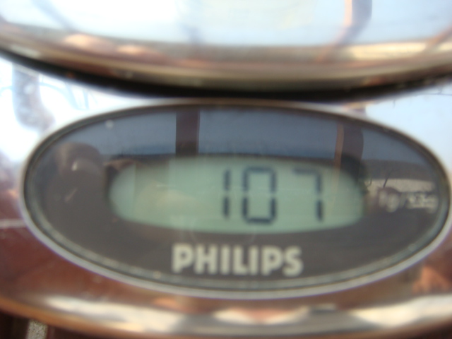 107 Gramm Anzeige bei 1g auf 5kg Genauigkeit.JPG