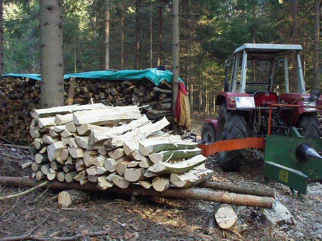 Holzplatz_415_640x480.JPG