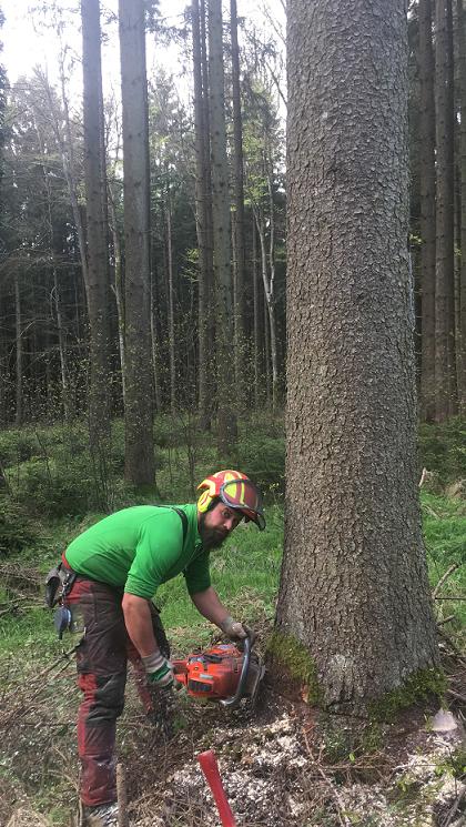 Petziger Fäller.jpg