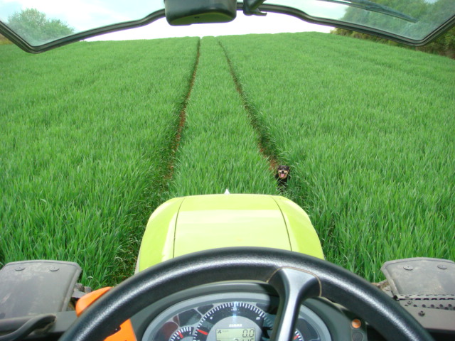 Scheibe auf Highlight.JPG