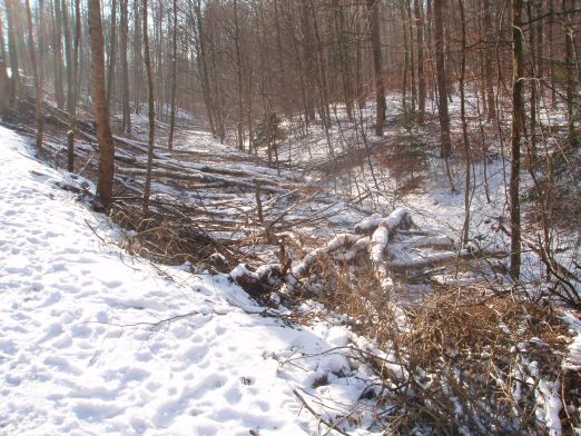 Flächenlos 2009-2.jpg