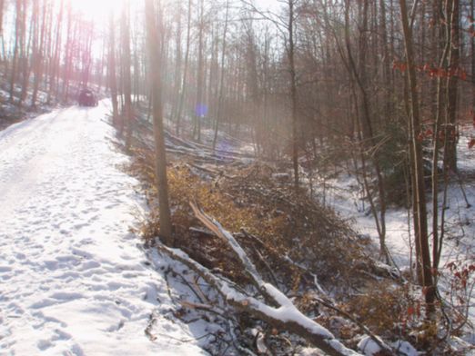 Flächenlos 2009-1.jpg