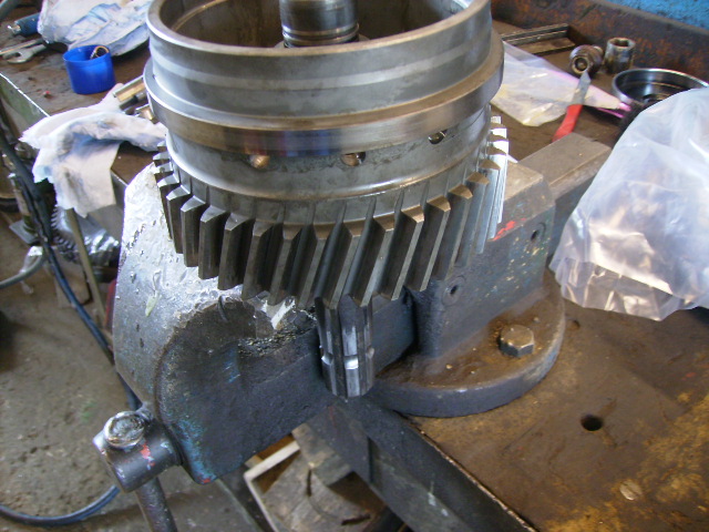 P4250003.JPG