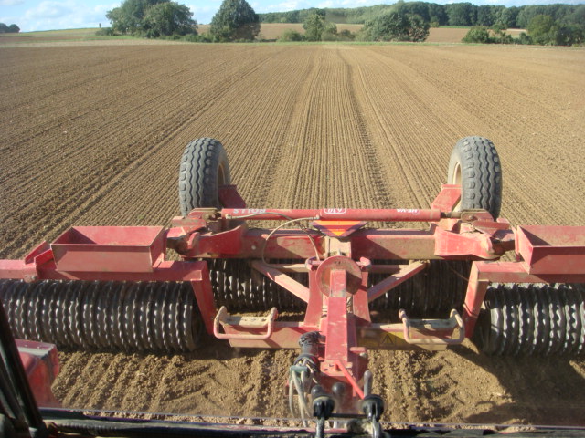 Anwalzen Pflugraps 2017.JPG