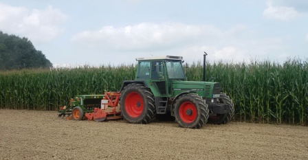 Raps sähen 2017.jpg