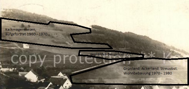 Beispiel Flächenverbrauch.jpg