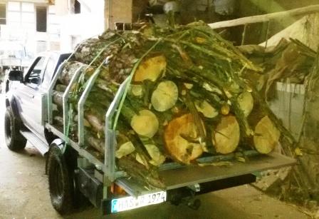 Pick up hinten Holzaufbau Kompr..jpg