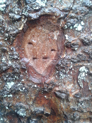 2017-12-23 11.48.27.jpg