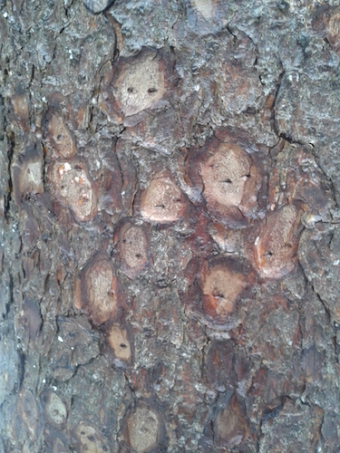 2017-12-23 11.46.42.jpg