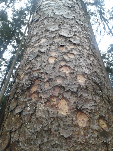 2017-12-23 11.46.49.jpg