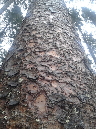 2017-12-23 11.48.54.jpg